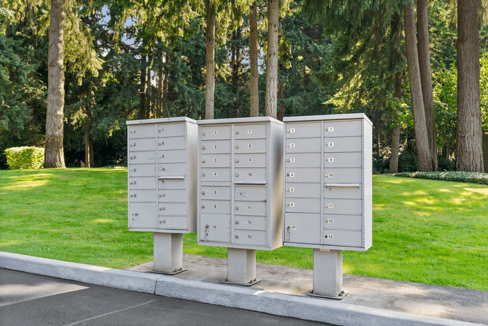 Convenient outdoor mailbox setup surrounded by lush greenery and tall trees for a serene residential experience.