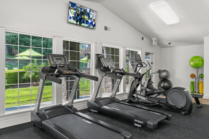 Modern fitness center with large windows offering a scenic view, equipped with treadmills, elliptical machines, and exercise balls, perfect for a refreshing workout experience.