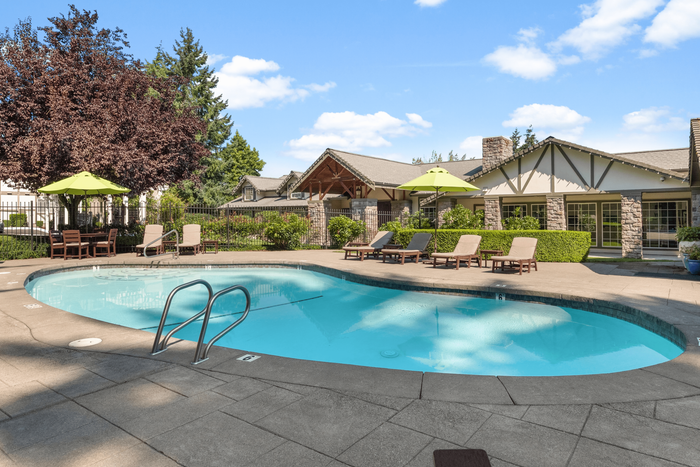 Inviting outdoor swimming pool surrounded by lush greenery and comfortable lounge chairs, perfect for relaxing under the sunny sky.