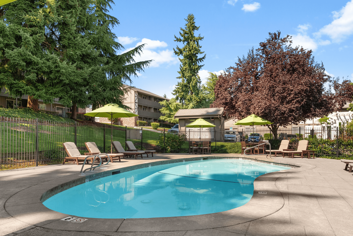 Inviting outdoor swimming pool with lounge chairs under green umbrellas, surrounded by lush trees and modern apartment buildings.