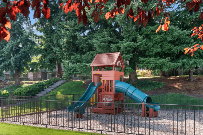 Charming and vibrant outdoor playground nestled among lush greenery, featuring a fun slide and climbing equipment perfect for children's adventures.