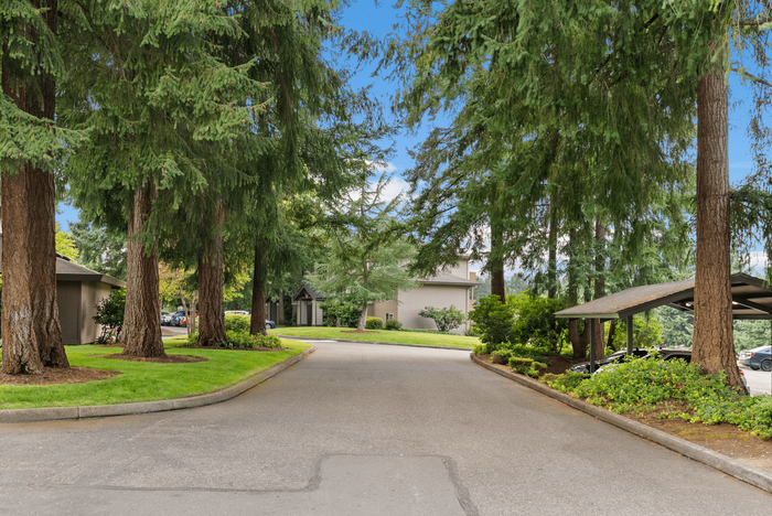 Serene apartment entrance flanked by towering trees and lush greenery, offering a peaceful and welcoming environment.