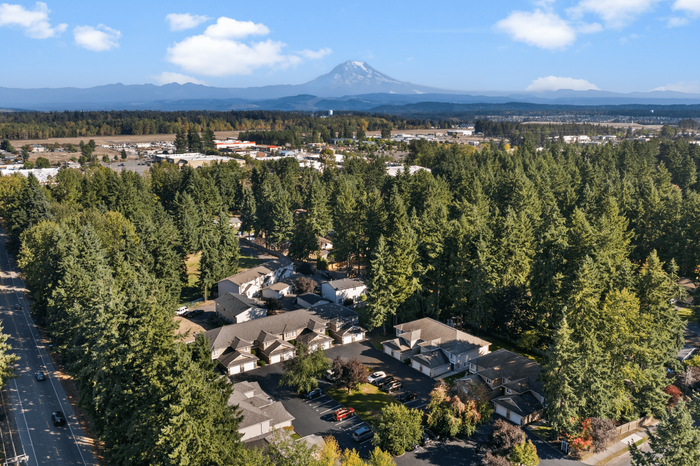 Aerial view of charming residential area nestled among lush forests with stunning mountain backdrop.