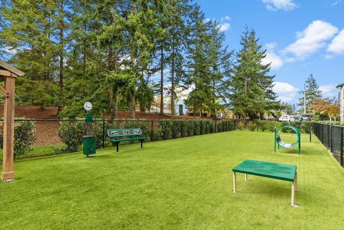 Vibrant dog park with agility equipment surrounded by lush greenery and tall trees, offering a serene outdoor escape.