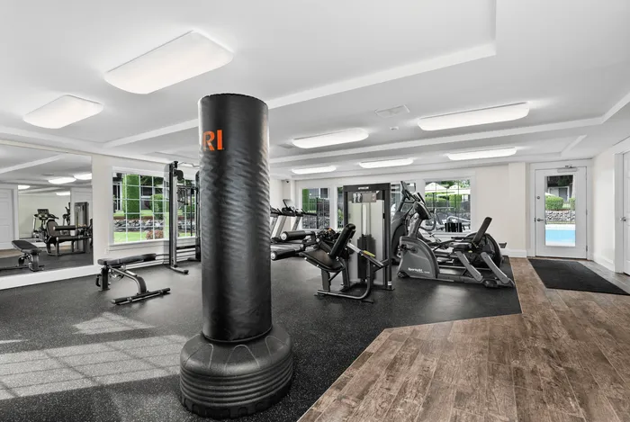 Modern and spacious fitness center with state-of-the-art gym equipment, large windows for natural light, and stylish flooring.