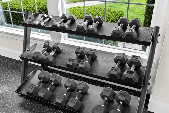 Modern home gym setup with a rack of various dumbbells, complemented by large windows offering a refreshing outdoor view.