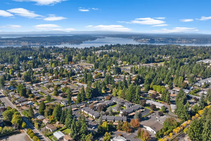 Breathtaking aerial view of a lush, tree-lined neighborhood with expansive scenic water and mountain vistas in the background.