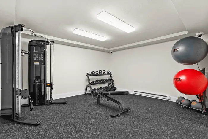 Modern home gym with sleek equipment, including free weights, exercise balls, and a versatile weight machine.