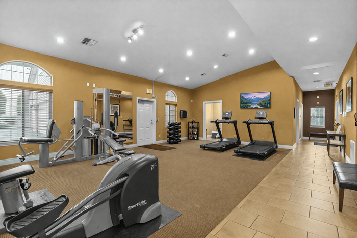 Spacious and inviting gym featuring modern fitness equipment, bright lighting, and a serene painting enhancing the workout ambiance.