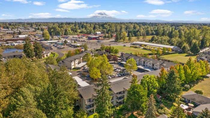 Breathtaking aerial view of a vibrant apartment complex surrounded by lush greenery with a stunning mountain backdrop, offering a tranquil and scenic living environment.