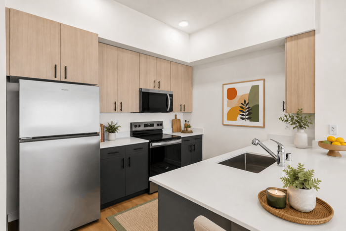 Contemporary kitchen featuring sleek stainless steel appliances, elegant wooden cabinetry, and chic decor elements.