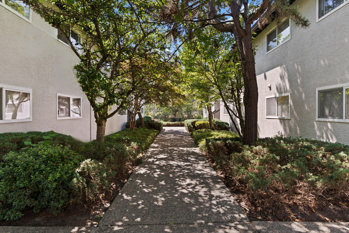Charming tree-lined pathway between modern white apartment buildings, offering serene and shaded greenery.