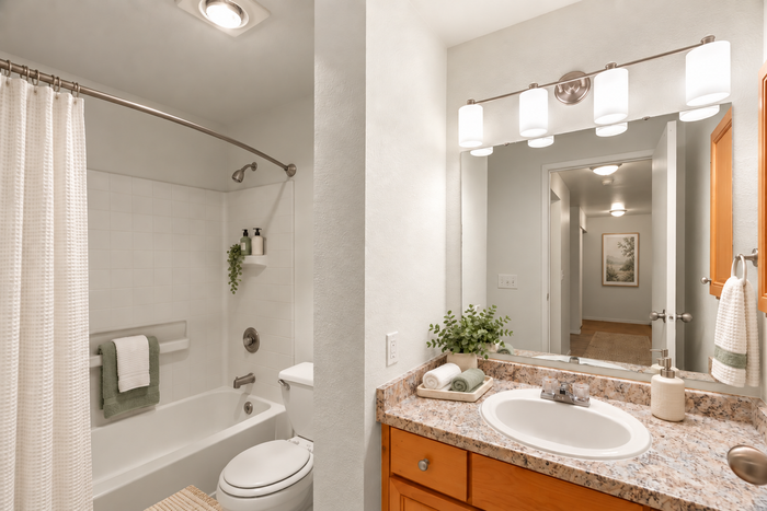 Elegant bathroom featuring a modern vanity with granite countertop, stylish lighting, and a relaxing bathtub with a chic shower curtain.