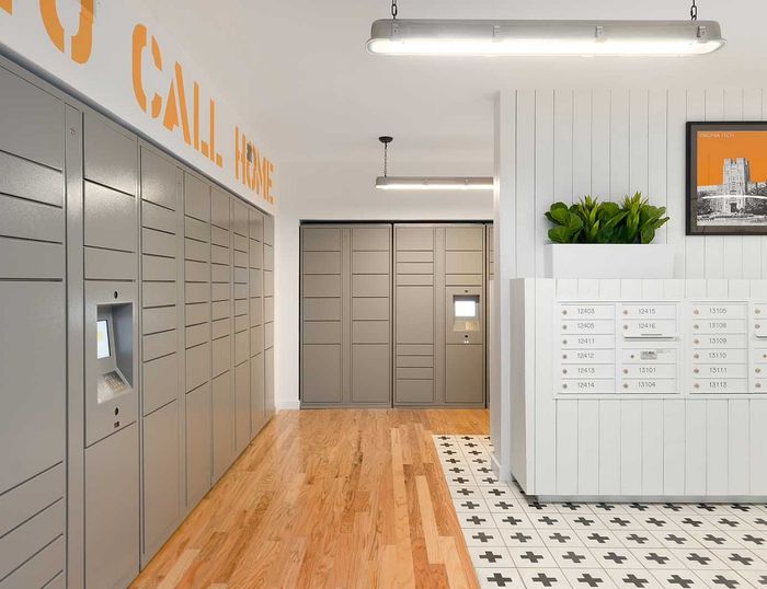 Contemporary mailroom with sleek parcel lockers and modern decor, featuring vibrant flooring and lush greenery.