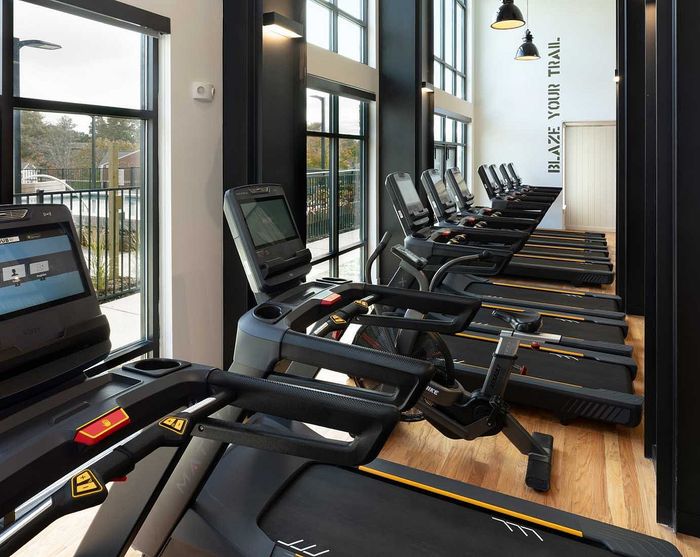 Modern fitness center with sleek treadmills lined up against large windows for an invigorating workout experience.