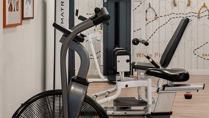 Modern fitness center featuring state-of-the-art exercise equipment and a stylish interior design.