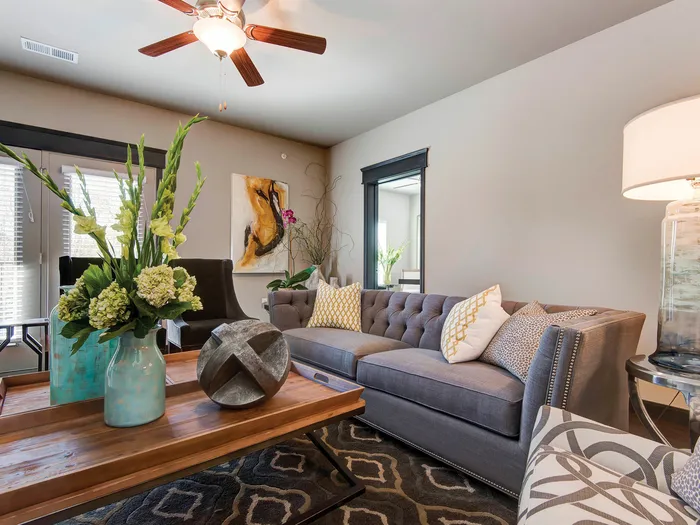 Township 28 Apartments Springfield Missouri One Bedroom Furnished Living Room Close Up