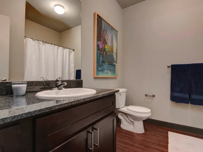 Township 28 Apartments Springfield Missouri One Bedroom Furnished Bathroom View