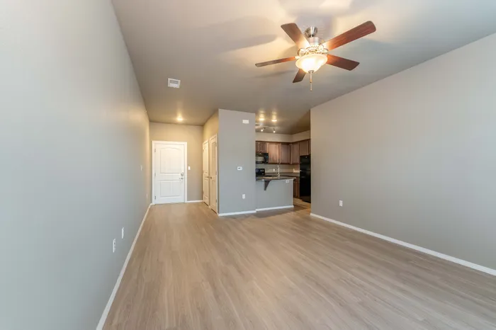 The-Abbey-Apartment-Homes-Springfield-Missouri-One-Bedroom-Phase-3-Living-Room-Entry-View