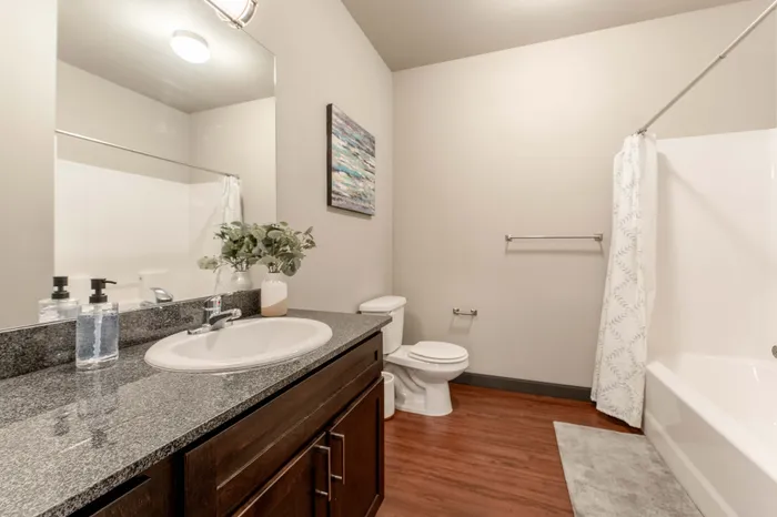Township-28-Apartments-Springfield-Missouri-Furnished-Three-Bedroom-Third-Bathroom