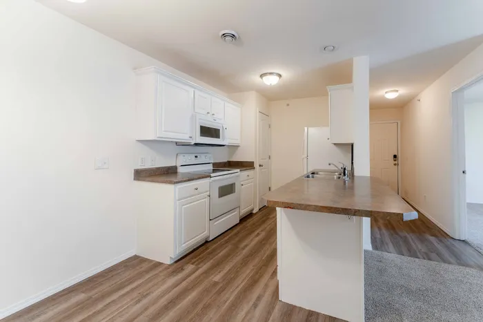 Battlefield-Park-Apartments-Springfield-Missouri-Four-Bedroom-Kitchen-Entryway
