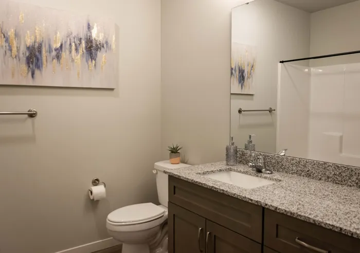 Monarch-Apartments-Springfield-Missouri-Furnished-Two-Bedroom-Bathroom