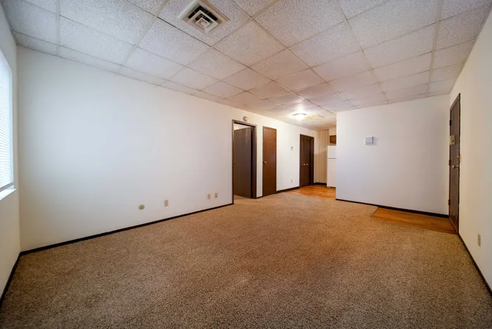 Regency-Towers-Apartments-Springfield-Missouri-One-Bedroom-A-Living-Room