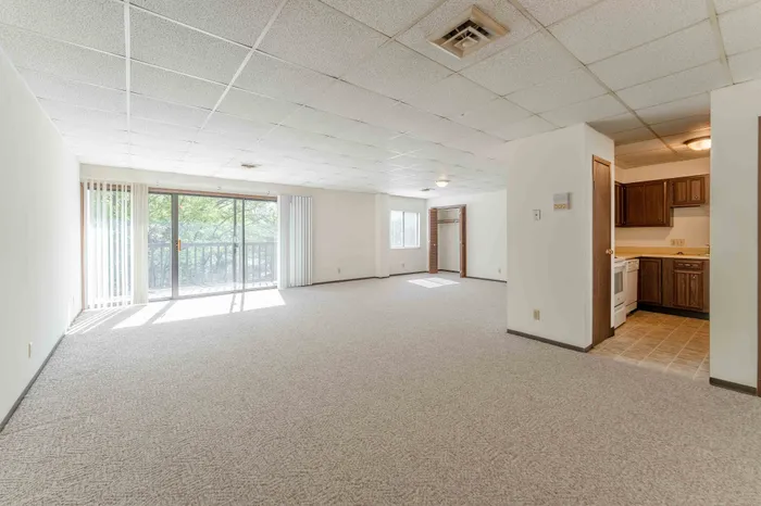 Regency-Towers-Apartments-Springfield-Missouri-One-Bedroom-B-Carpeted-Living-Room-Patio-Doors
