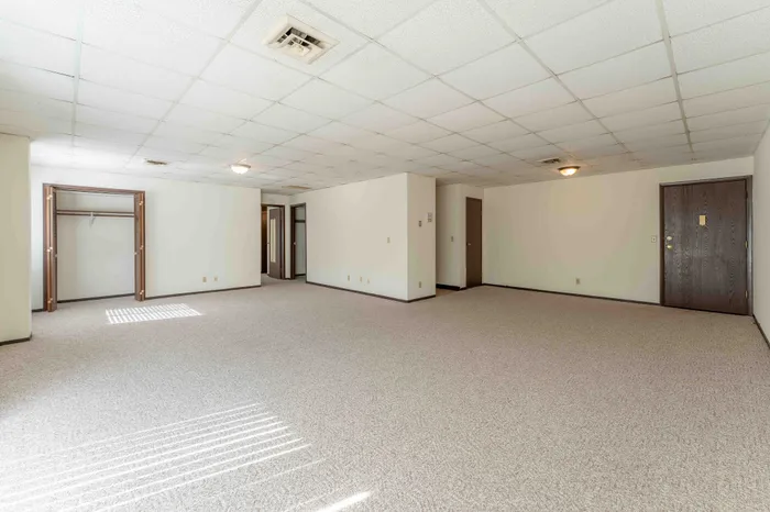 Regency-Towers-Apartments-Springfield-Missouri-One-Bedroom-B-Carpeted-Living-Room-Coat-Closet