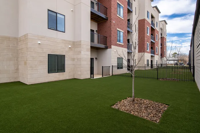 Promenade-Commons-Apartments-Rogers-Arkansas-Phase-Two-One-Bedroom-With-Backyard-Tree