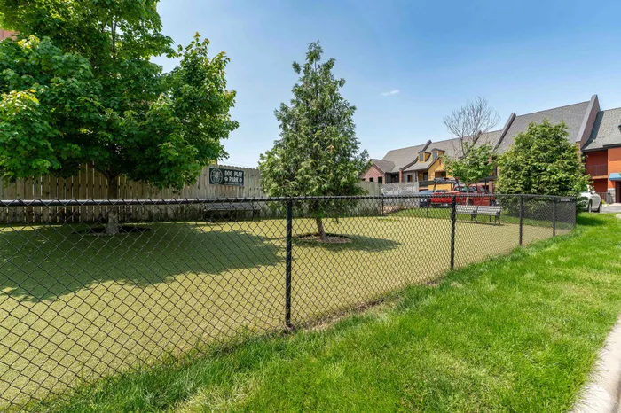 Township-28-Apartments-Springfield-Missouri-Amenities-Dog-Park