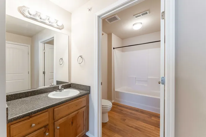 The-Abbey-Apartments-Springfield-Missouri-Phase-2-Two-Bedroom-Primary-Bathroom