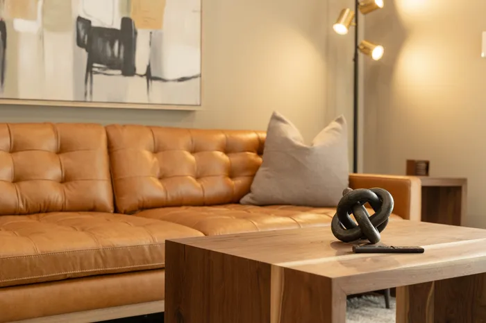 Heritage-Apartments-Springfield-Missouri-Luxury-Barrington-Furnished-One-Bedroom-Living-Room-Couch