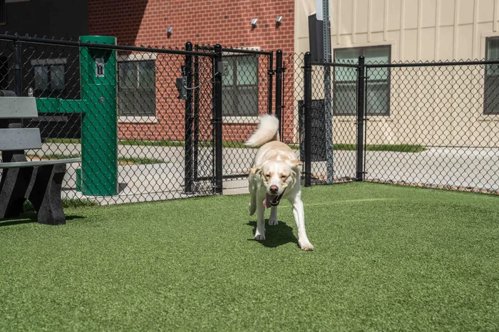 Union-Mill-Apartments-Wichita-Kansas-Pet-Friendly-Amenities-Dog-Park-Entrance