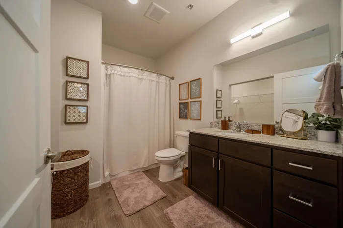 Union-Mill-Apartments-Wichita-Kansas-Furnished-Two-Bedroom-Primary-Bathroom