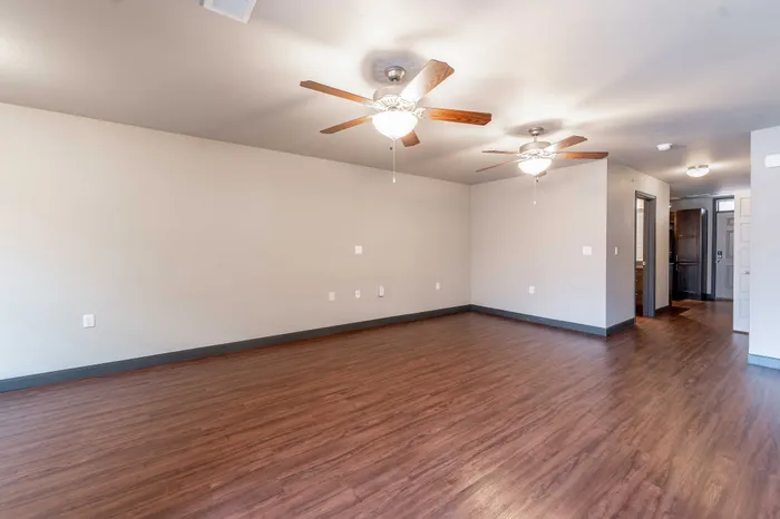 Township-28-Springfield-Missouri-Galloway-Neighborhood-Apartments-Studio-Living-Space-Double-Ceiling-Fans