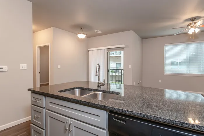 Coryell-Commons-Springfield-Missouri-55-Plus-Apartments-Riley-One-Bedroom-Kitchen-Island-Sink