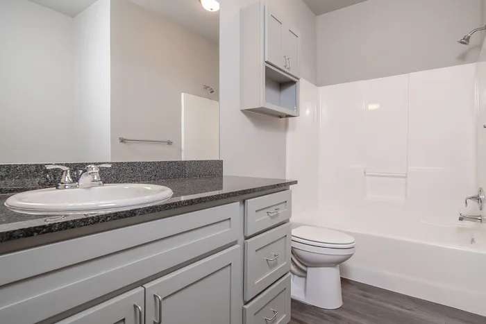 Coryell-Commons-Springfield-Missouri-55-Plus-Apartments-Riley-One-Bedroom-Bathroom