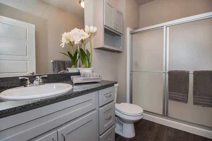 Coryell-Commons-Springfield-Missouri-55-Plus-Apartments-Furnished-Two-Bedroom-Second-Bathroom