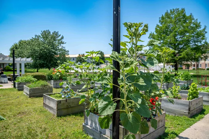 The-Abbey-Apartments-Springfield-Missouri-S-Fremont-Ave-Garden