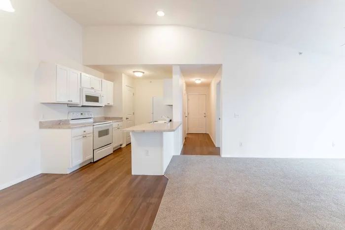 Battlefield-Park-Apartments-Springfield-Missouri-Two-Bedroom-Living-Room-Kitchen-Open-Layout