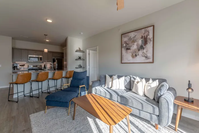 Monarch-Apartments-Springfield-Missouri-Furnished-Two-Bed-Apartment-Living-Room