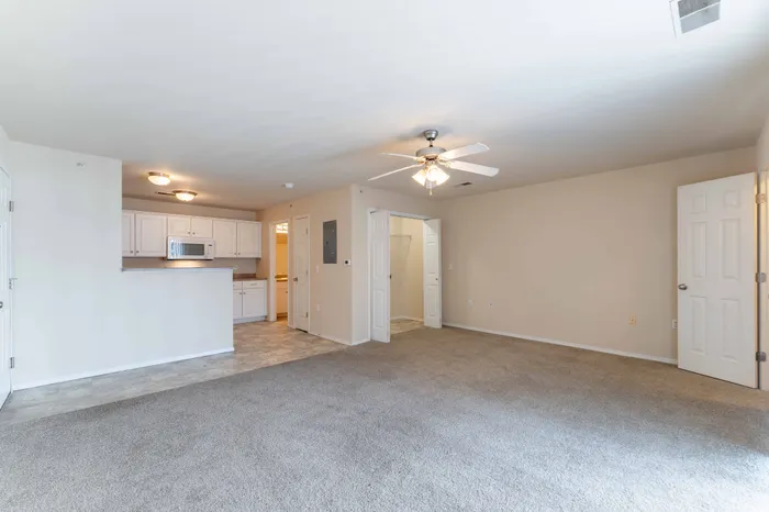 Coryell-Crossing-Apartments-For-Rent-Springfield-Missouri-Studio-Living-Space-With-Ceiling-Fan