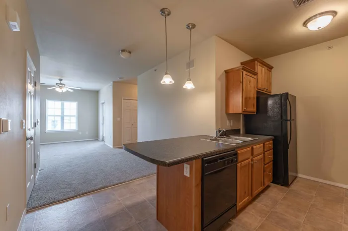 Coryell-Courts-Apartments-North-Springfield-Missouri-Studio-Olivia-Phase-Two-Kitchen-Living-Space-Open-Layout