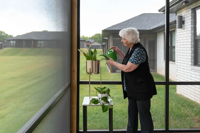 Villas-At-Anthony-Park-55-Plus-Community-Springfield-Missouri-Homes-Plants-On-Back-Patio