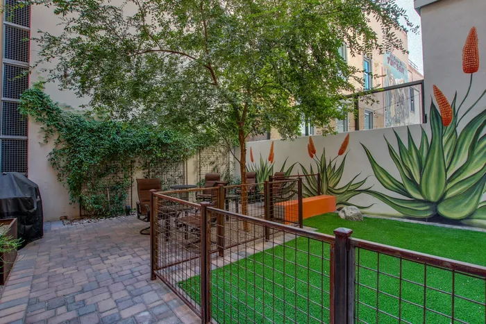Court Yard