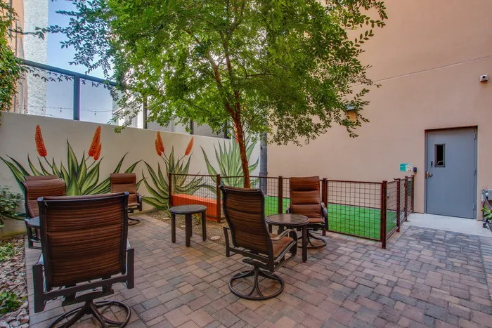 Court Yard