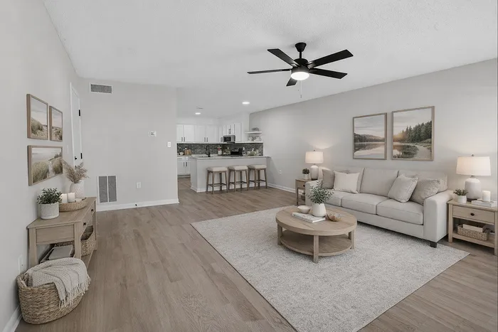 Open concept living rooms