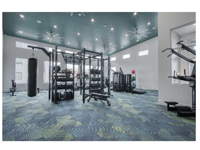 fitness