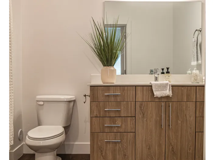The Topaz Model | 2 Bed, 2 Bath